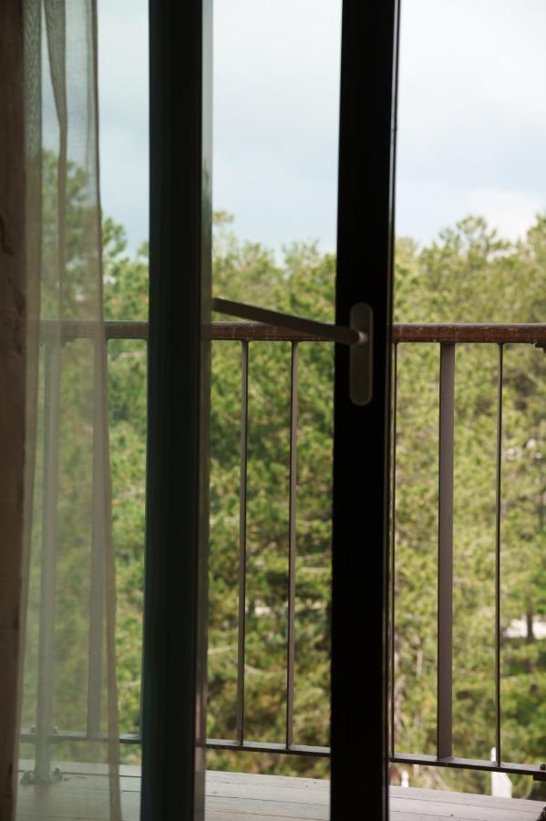 Hotel Palisad Ζλάτιμπορ Εξωτερικό φωτογραφία